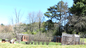 Memorial Garden and Columbarium