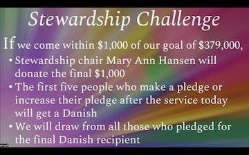 Mary Anne challenge